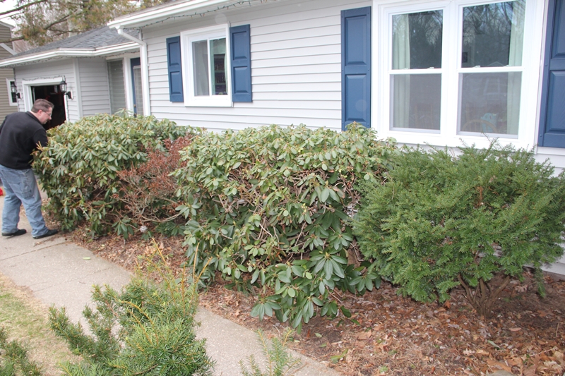 slideshow